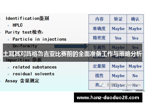 土耳其对阵格鲁吉亚比赛前的全面准备工作与策略分析